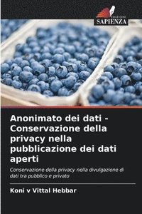 bokomslag Anonimato dei dati - Conservazione della privacy nella pubblicazione dei dati aperti