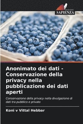 bokomslag Anonimato dei dati - Conservazione della privacy nella pubblicazione dei dati aperti