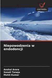 bokomslag Niepowodzenia w endodoncji
