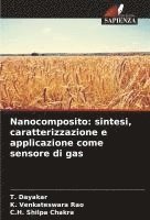 bokomslag Nanocomposito: sintesi, caratterizzazione e applicazione come sensore di gas