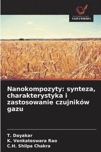 bokomslag Nanokompozyty