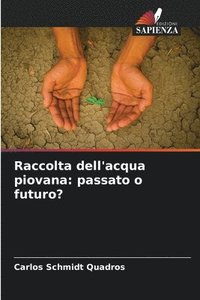 bokomslag Raccolta dell'acqua piovana: passato o futuro?