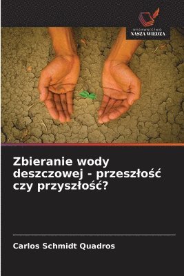 bokomslag Zbieranie wody deszczowej - przeszlo?c czy przyszlo?c?