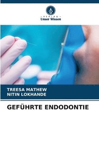 bokomslag Geführte Endodontie