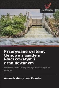 bokomslag Przerywane systemy tlenowe z osadem klaczkowatym i granulowanym