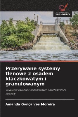 bokomslag Przerywane systemy tlenowe z osadem klaczkowatym i granulowanym