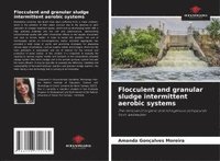 bokomslag Flocculent and granular sludge intermittent aerobic systems