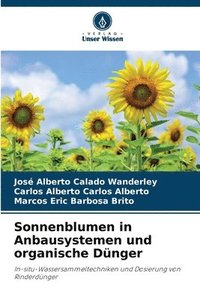 bokomslag Sonnenblumen in Anbausystemen und organische Dünger
