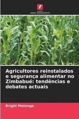 bokomslag Agricultores reinstalados e segurança alimentar no Zimbabué: tendências e debates actuais