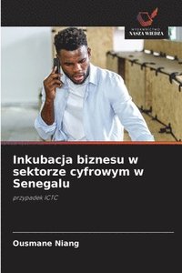 bokomslag Inkubacja biznesu w sektorze cyfrowym w Senegalu