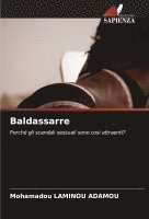 bokomslag Baldassarre