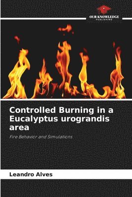 bokomslag Controlled Burning in a Eucalyptus urograndis area