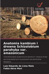 bokomslag Anatomia kambium i drewna Schizolobium parahyba var. amazonicum