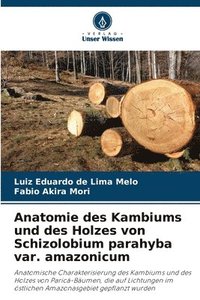 bokomslag Anatomie des Kambiums und des Holzes von Schizolobium parahyba var. amazonicum