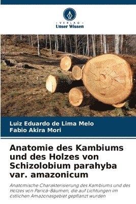 bokomslag Anatomie des Kambiums und des Holzes von Schizolobium parahyba var. amazonicum