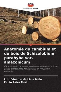 bokomslag Anatomie du cambium et du bois de Schizolobium parahyba var. amazonicum