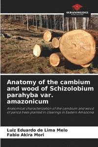 bokomslag Anatomy of the cambium and wood of Schizolobium parahyba var. amazonicum
