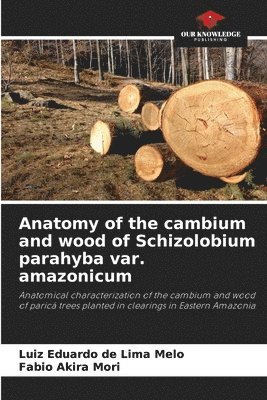 bokomslag Anatomy of the cambium and wood of Schizolobium parahyba var. amazonicum