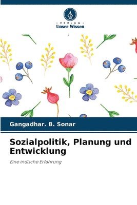 bokomslag Sozialpolitik, Planung und Entwicklung