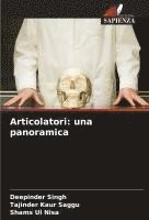 bokomslag Articolatori: una panoramica