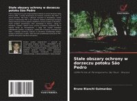 bokomslag Sta¿e obszary ochrony w dorzeczu potoku São Pedro