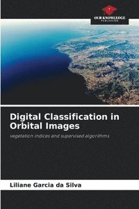 bokomslag Digital Classification in Orbital Images