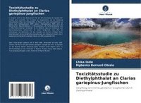 bokomslag Toxizitätsstudie zu Diethylphthalat an Clarias gariepinus-Jungfischen