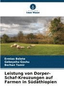 bokomslag Leistung von Dorper-Schaf-Kreuzungen auf Farmen in Südäthiopien