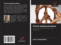 bokomslag Prawo mi¿dzynarodowe
