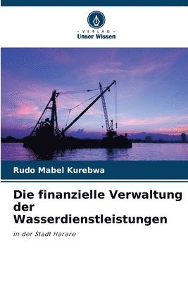 Rudo Mabel Kurebwa - finanzielle Verwaltung der Wasserdienstleistungen, Häftad