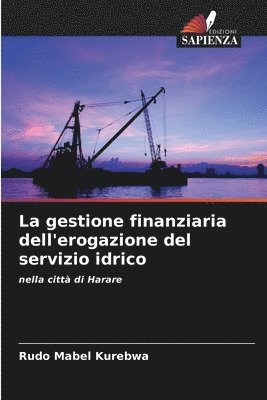Rudo Mabel Kurebwa - La gestione finanziaria dell'erogazione del servizio idrico, Häftad