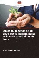 bokomslag Effets du biochar et du Sb16 sur la qualité du sol et la croissance du maïs doux