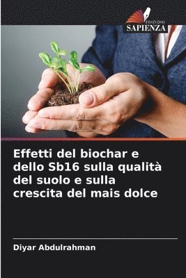 bokomslag Effetti del biochar e dello Sb16 sulla qualità del suolo e sulla crescita del mais dolce