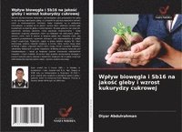 bokomslag Wp¿yw biow¿gla i Sb16 na jako¿¿ gleby i wzrost kukurydzy cukrowej