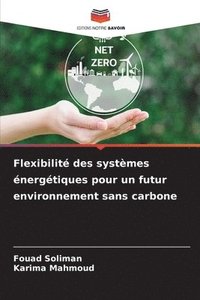 bokomslag Flexibilité des systèmes énergétiques pour un futur environnement sans carbone