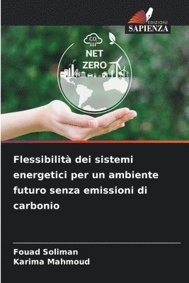 bokomslag Flessibilità dei sistemi energetici per un ambiente futuro senza emissioni di carbonio