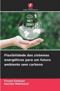 bokomslag Flexibilidade dos sistemas energéticos para um futuro ambiente sem carbono