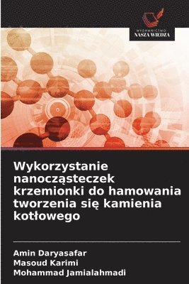 bokomslag Wykorzystanie nanocz?steczek krzemionki do hamowania tworzenia si? kamienia kotlowego