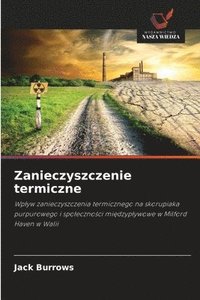 bokomslag Zanieczyszczenie termiczne