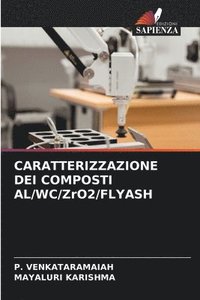 bokomslag CARATTERIZZAZIONE DEI COMPOSTI AL/WC/ZrO2/FLYASH