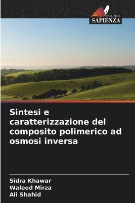 Sintesi e caratterizzazione del composito polimerico ad osmosi inversa