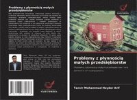 bokomslag Problemy z plynno?ci? malych przedsi?biorstw
