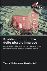 bokomslag Problemi di liquidità delle piccole imprese