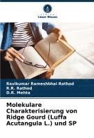 bokomslag Molekulare Charakterisierung von Ridge Gourd (Luffa Acutangula L.) und SP