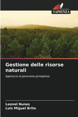 bokomslag Gestione delle risorse naturali