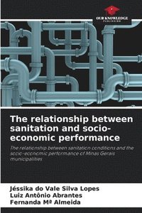 bokomslag relationship between sanitation and socio-economic performance
