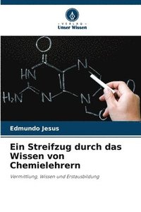 bokomslag Ein Streifzug durch das Wissen von Chemielehrern