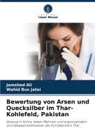 bokomslag Bewertung von Arsen und Quecksilber im Thar-Kohlefeld, Pakistan