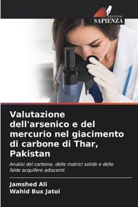 bokomslag Valutazione dell'arsenico e del mercurio nel giacimento di carbone di Thar, Pakistan