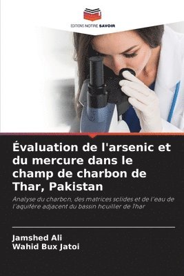 Jamshed Ali, Wahid Bux Jatoi - Évaluation de l'arsenic et du mercure dans le champ de charbon de Thar, Pakistan, Häftad